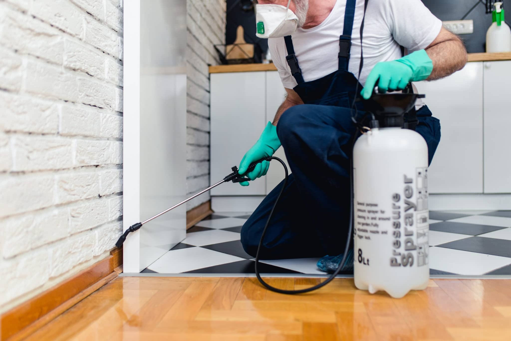 شركة مكافحة حشرات بالدمام | شركة ركن الاندلس