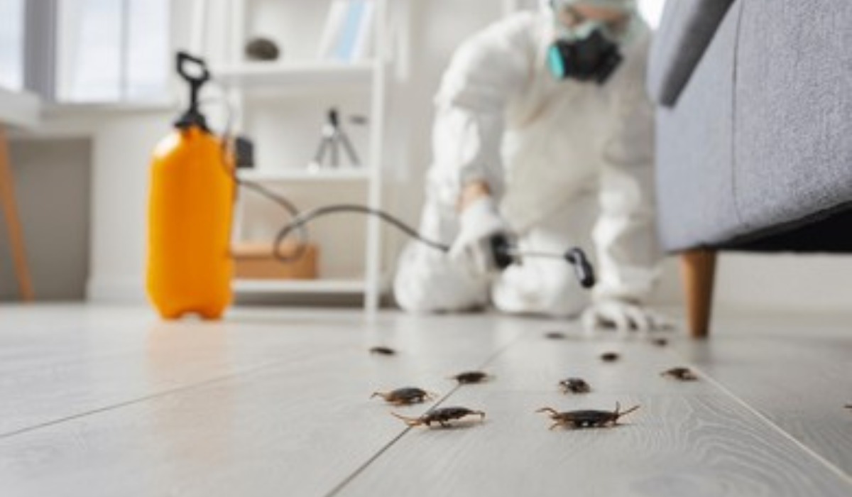 شركة مكافحة حشرات بالخبر | شركة ركن الاندلس