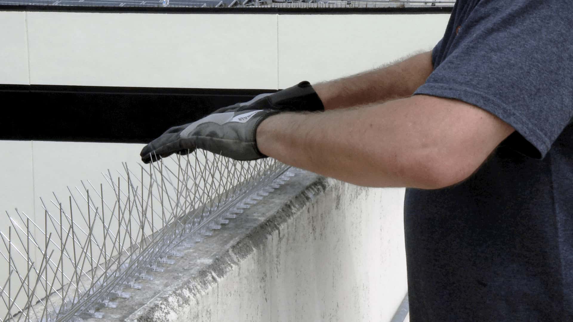 شركة تركيب طارد الحمام بالدمام | شركة ركن الاندلس