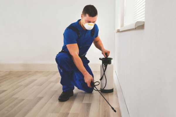 شركة مكافحة حشرات بالدمام | شركة ركن الاندلس