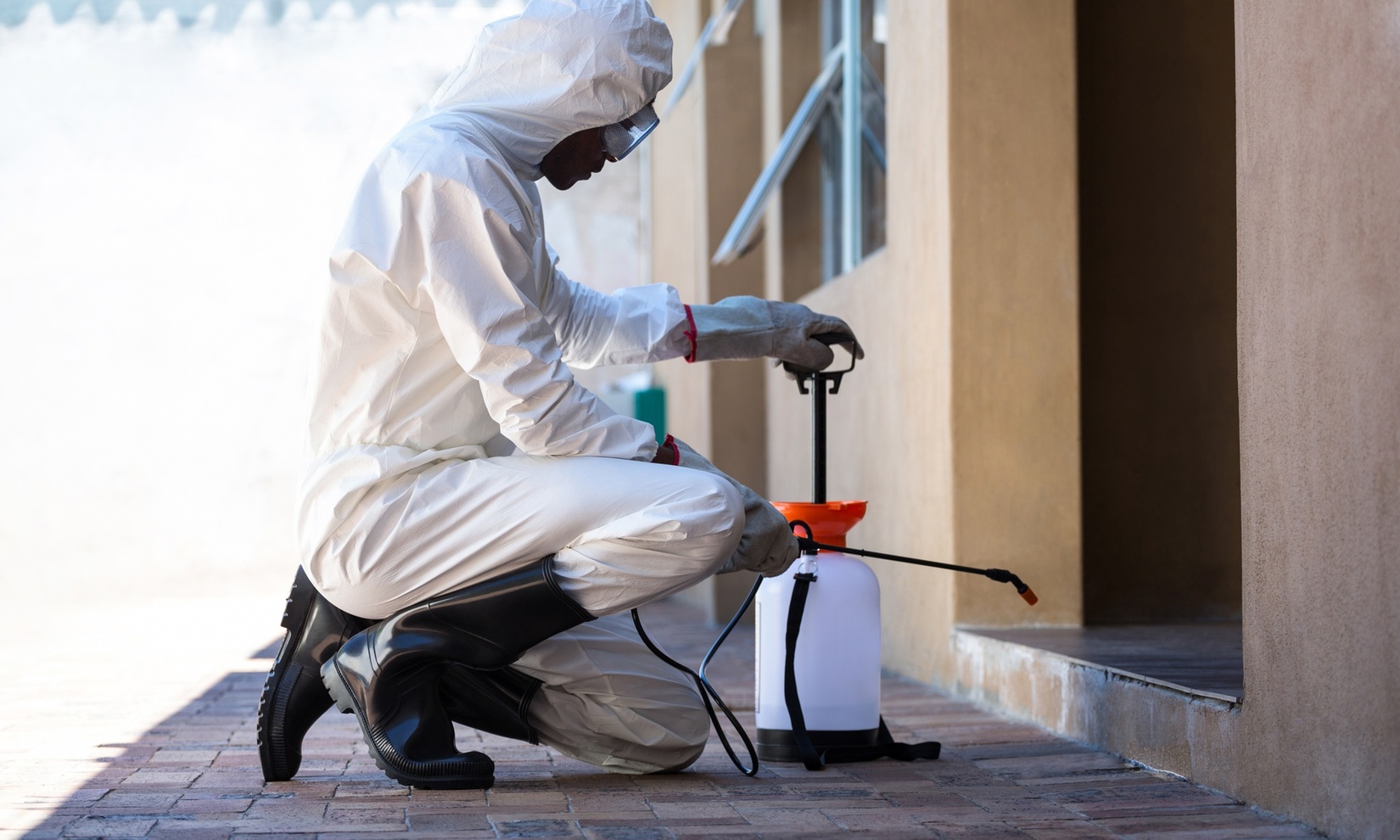 شركة مكافحة حشرات بالأحساء | شركة ركن الاندلس