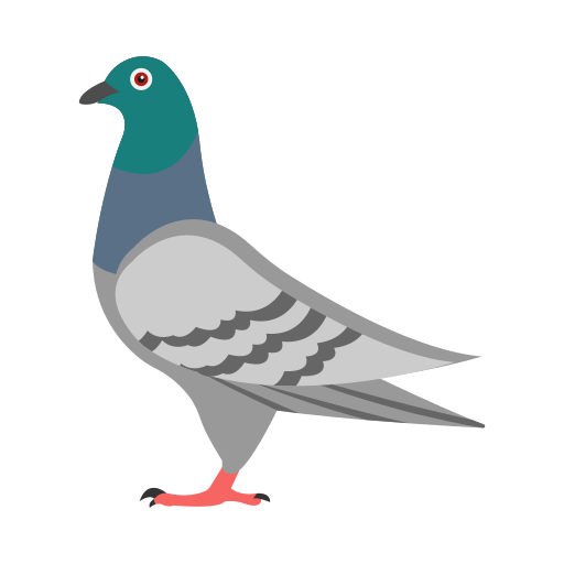خدمات طارد حمام